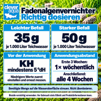 Clever Aqua Fadenalgenvernichter 1.000g
