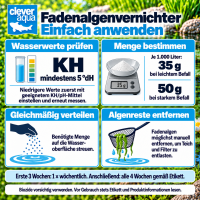 Clever Aqua Fadenalgenvernichter 1.000g