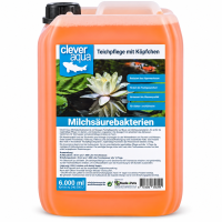 Clever Aqua Milchsäurebakterien 6.000ml