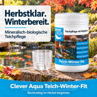 Clever Aqua Teich-Winter-Fit – 3 kg